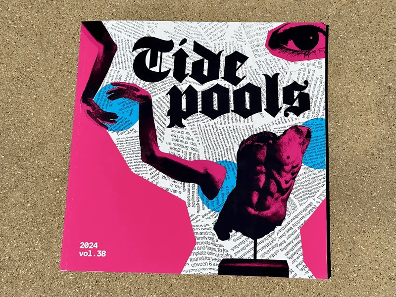 Tidepools vol. 38 cover