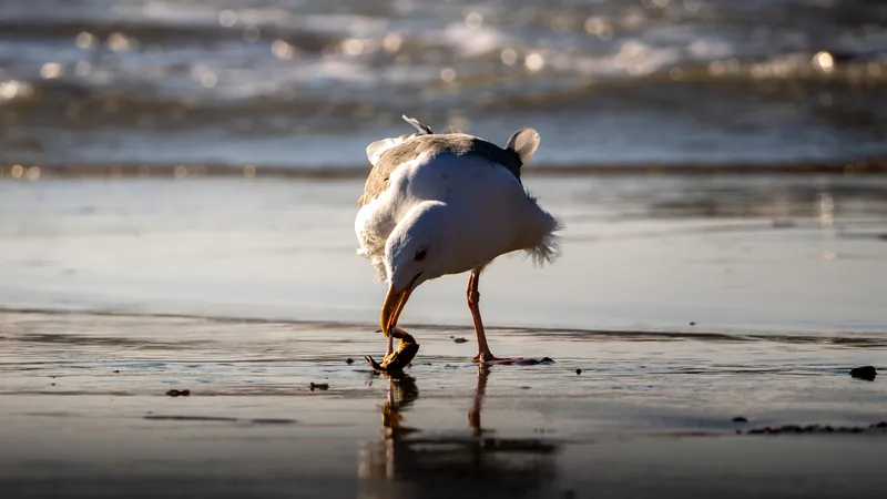 Wildlife photograph 4